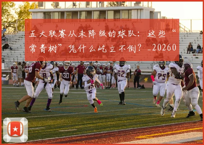 五大联赛从未降级的球队：这些“常青树”凭什么屹立不倒？_20260611141015