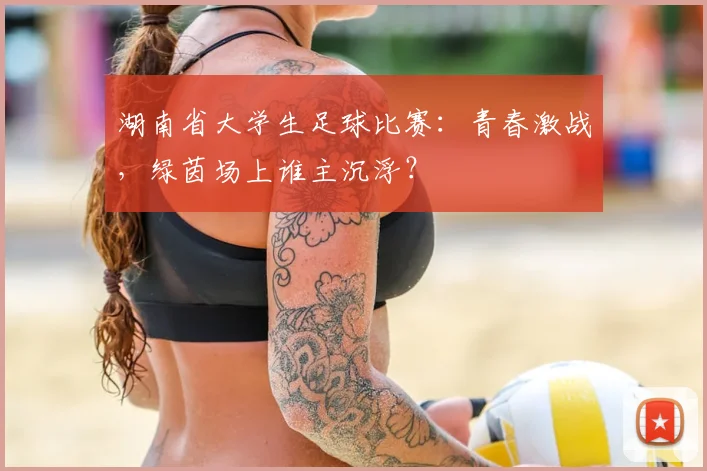 湖南省大学生足球比赛：青春激战，绿茵场上谁主沉浮？